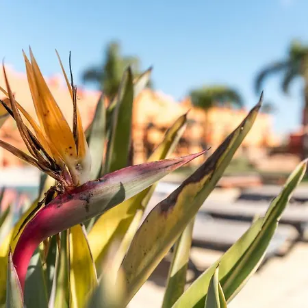 Luxury Apartment, Marina, & Pool Portimão