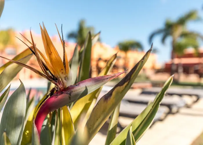 Luxury Apartment, Marina, & Pool 포티마오